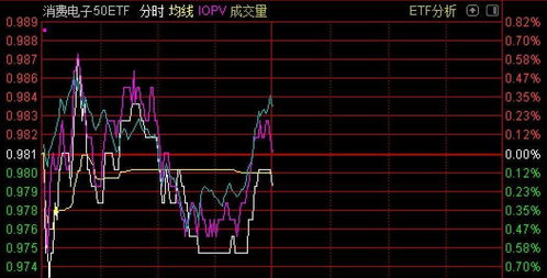 南方消费分级基金怎么样