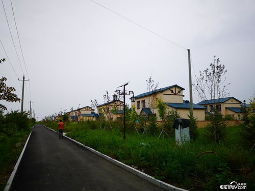 八岔村,八岔村位于哪里-第1张图片