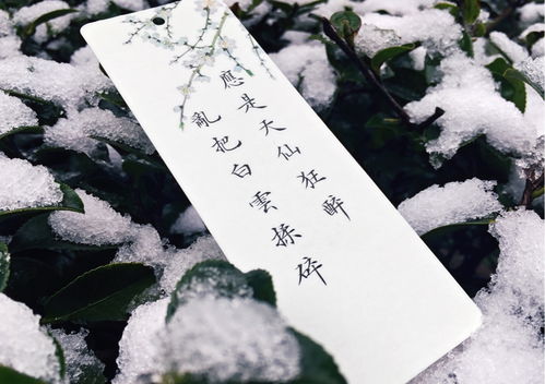 喜欢雪唯美的句子