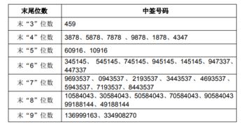 新股的中签号在哪里查询呀？