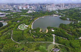 上海公园大全,上海公园大全——发现城市绿洲