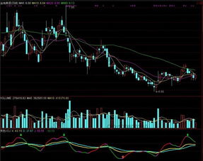 变色与变形KDJ指标在股市怎样应用