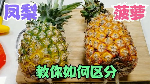 87c91a6a0a1e7dc0? - 菠萝与凤梨是同一种水果吗,菠萝和凤梨，究竟是同一种水果吗？