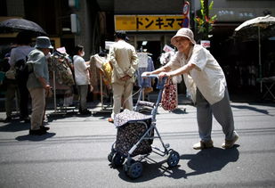 日本年轻人为什么不出国留学呢