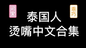 你我本素不相识 但凡不经意的一眼就早已注定了两人命运的缘分ZS大法好 我磕到爆