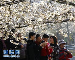 清明小长假全国迎来踏青热 