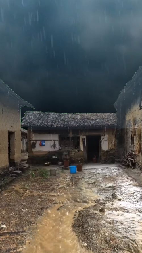 老家又下雨了 