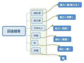 徒手健身如何快速入门 练好这七个动作就够了