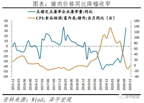 经济持续回升向好：当前形势和政策举措的专业解读