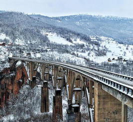 南斯拉夫电影桥的主题歌,创作背景