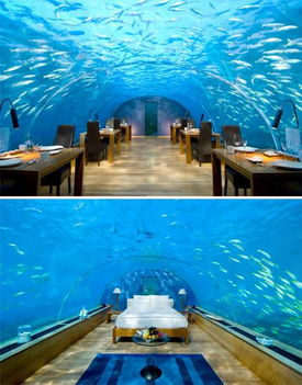 马尔代夫海底酒店(海底奇景，畅享马尔代夫之旅)