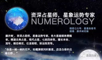 12星座以爱情为主的2月综合运势,星星们给你拜年了