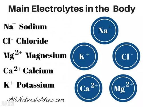 人体电解质怎么补充