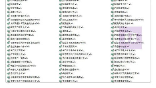超全 财务人必备干货 财务分析 模板 课件 预算管理 excel技能等