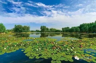 喜讯 青州一公园验收升为国家级 实在是美得任性