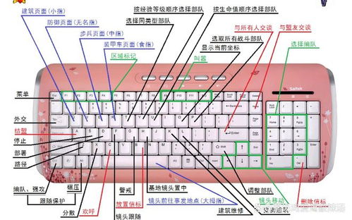 快捷键英雄联盟全部 英雄联盟一些快捷键(lol游戏内覆盖功能在哪)