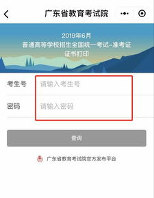 准考证查询入口？怎么查高考准考证号