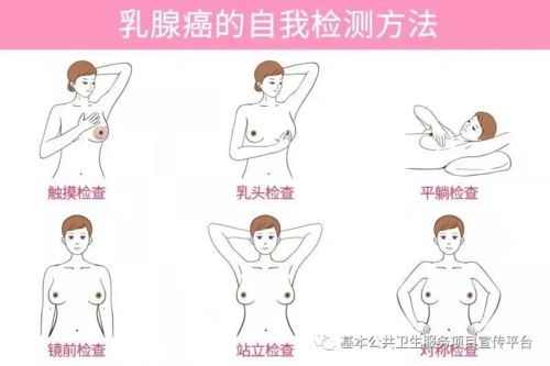 健康科普丨世界乳腺癌宣传月,一起了解女性如何进行乳房保健