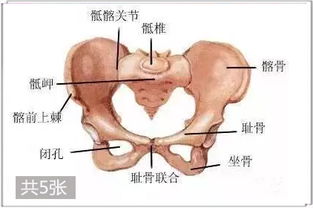 你的 尺寸 换成罩杯是多少 2