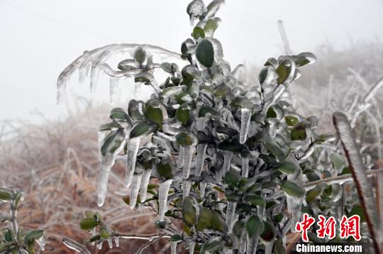 广东北部山区银装素裹 吸引游客上山赏雪 