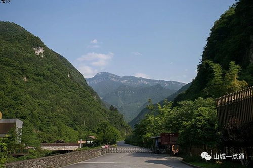 重庆南川区有什么好玩的地方 在南川区不妨可以到这些地方走走