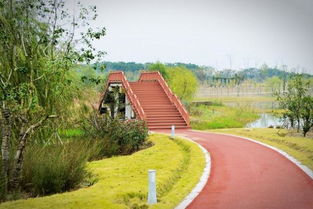 Four beautiful autumn jogging routes around Bacheng 