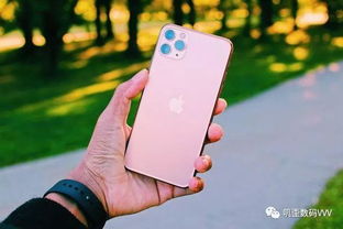 现在用着iPhone6,想继续买苹果手机,你有什么建议