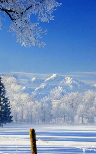 雪高清手机壁纸 搜狗图片搜索