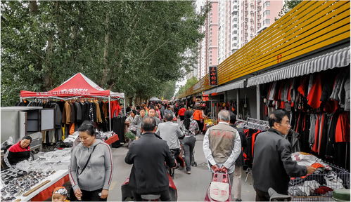 济南赶集之 蓝翔路大集,卖宠物的真多,好多新鲜玩意