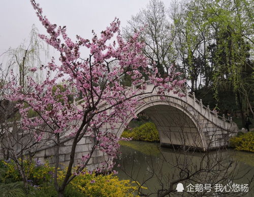 扬州旅游,扬州旅游攻略：自然与人文的完美融合