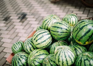 一般我们吃的零食西瓜子 一般我们吃的零食西瓜子是夏天常吃的西瓜里的籽吗
