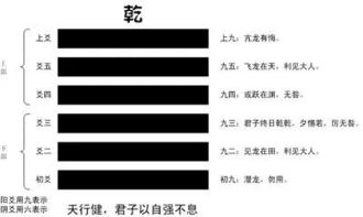 周易64卦 窥天道,喻人道 附易经 64 卦经典速记法 