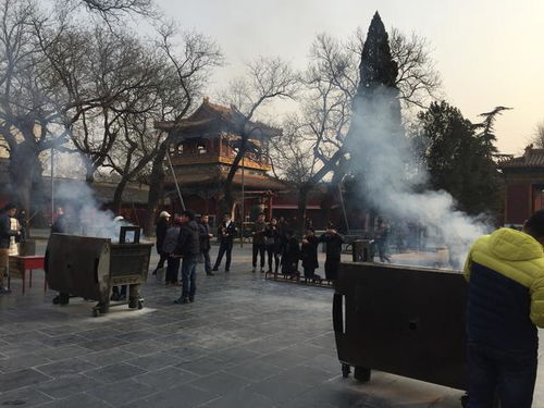 探秘北京雍和宫,究竟是门口算命的灵验还是寺庙的佛祖灵验