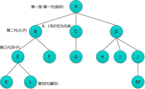 n网是什么,网络是什么? n网是什么,网络是什么? 词条