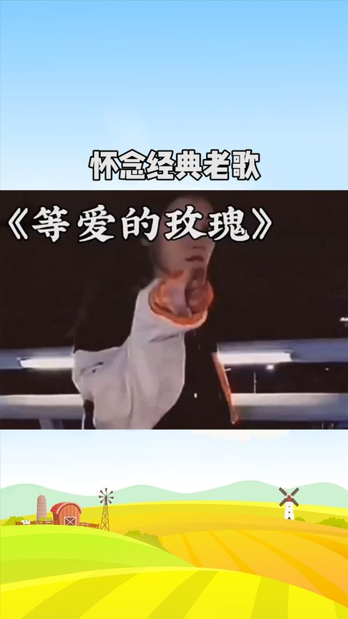 怀念老同学的经典歌曲