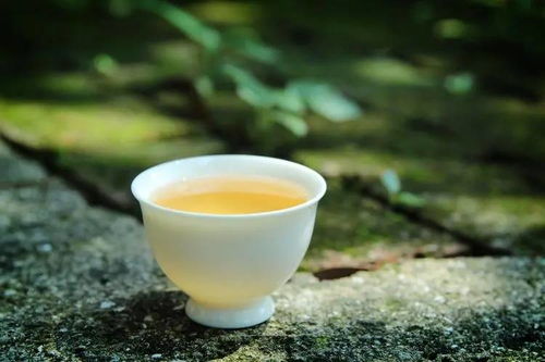 常喝白茶有什么好处 茶渣可辨别白茶的真假吗