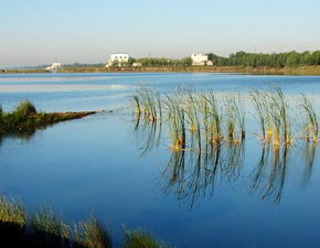 河北衡水衡水湖