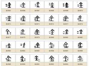 韩国的金字怎么写