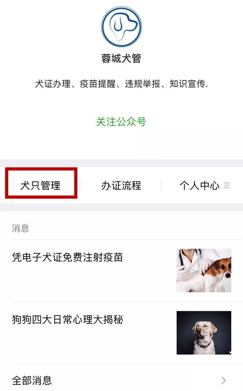 成都的狗狗要办 身份证 了 犬证办理流程赶紧看过来......