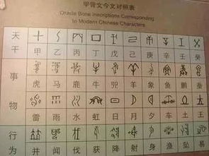 您知道汉字的起源吗