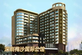 深圳酒店预订 深圳梅沙国际公馆 电话卡 