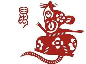 2020年鼠年春节正月出生的鼠宝宝取名,属鼠吉祥寓意的名字