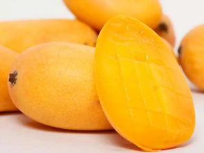 史上最全芒果品种介绍 你吃过几种