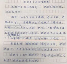 小学生作文 我的妈妈 刷屏 娃们眼中的妈妈 做双眼皮 可漂亮了,看看你家娃会怎么写 