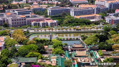 厦门旅游防坑指南,给你一个温馨浪漫之旅