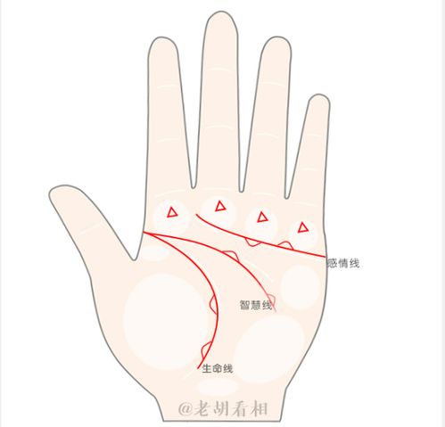 手上有三角纹手相图解 图片搜索