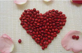 红豆花语是相思,红豆花语：相思，承载千年情感的寓意与浪漫