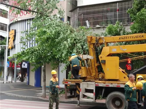 台风天气有免费的停车场吗,仙游动车站底下停车场台风天安全吗