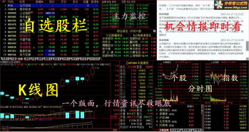 请问：怎么把软件设置成上面是一只个股，下面是另外一只个股的版面。谢谢