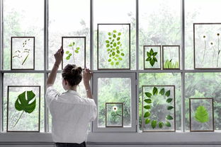 嫌弃墙壁太白,家里种不下植物 是时候学会把植物挂上墙了